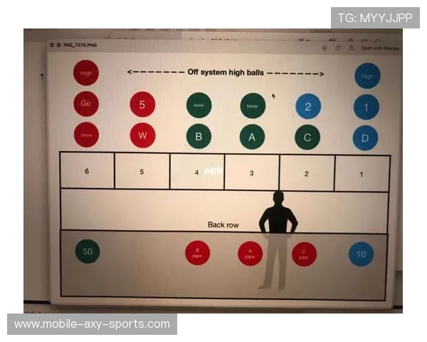 杭州排球队战术表现深度分析与数据解读探讨