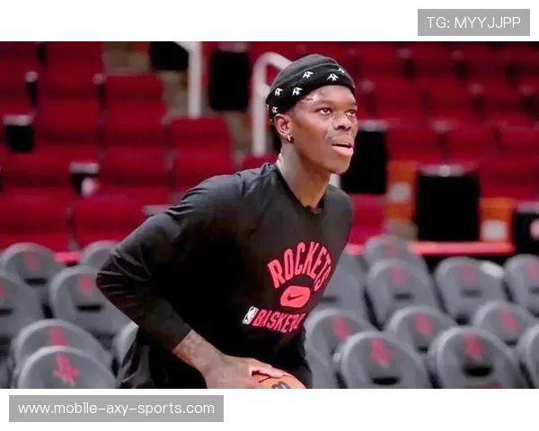 丹尼斯施罗德在NBA赛场上的成长与挑战之路